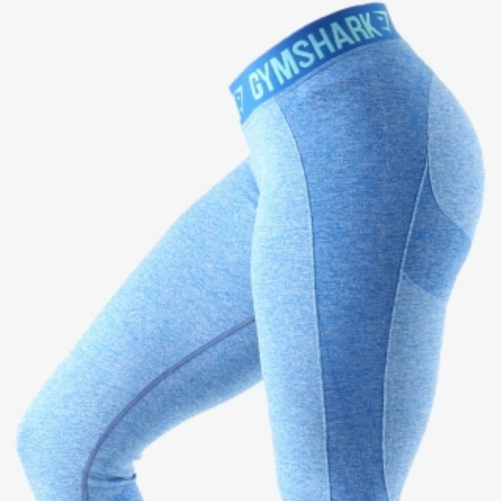 Gymshark Dry Fit Leggings